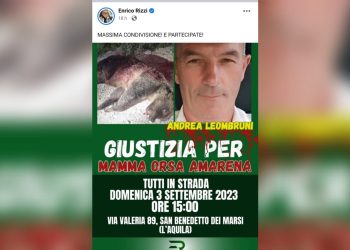 Orsa uccisa, sit-in di protesta in paese organizzato dal noto attivista Enrico Rizzi