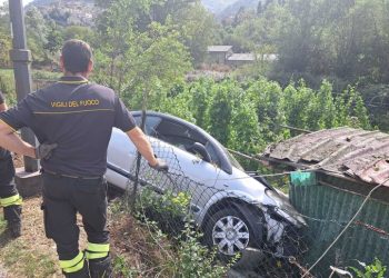 Auto piomba su una baracca, 5 cani salvi per miracolo a Scanno