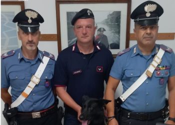 Trasforma la sua casa in un punto vendita per lo spaccio di droga, arrestato