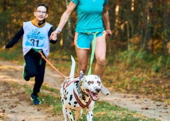 Domenica 8 ottobre arriva all’Aquila la prima Dog run