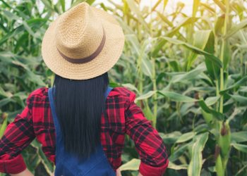 Analisi Openpolis, l’Abruzzo quinta regione in Italia per incidenza di donne in agricoltura