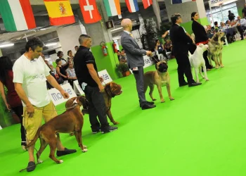Lanciano ospita la mostra canina “Il tuo cane in passerella” al Parco Villa delle Rose