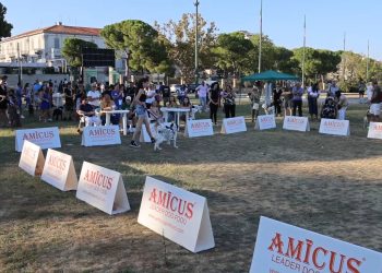 Grande successo della prima mostra amatoriale canina “I Love Lanciano”