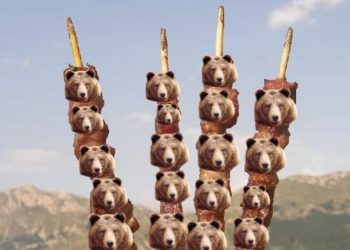 Morte dell’orsa Amarena, polemiche per i post di una pagina Facebook trentina: “arrorsicini”