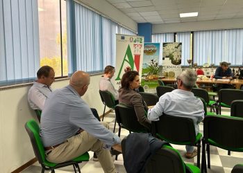 Progettare il turismo: una tappa aggiuntiva a Sulmona