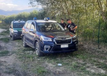 Ricerche degli orsetti, corsa contro il tempo: impiegati anche i droni e popolazione mobilitata