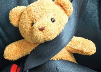 Entra nel vivo la campagna Roadpol Safety Days: obiettivo zero vittime sulla strada