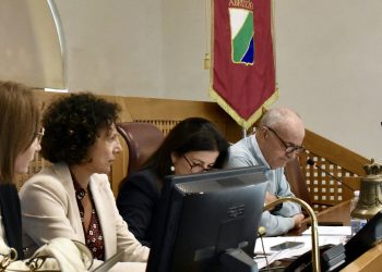 Transizione energetica e mercato unico, Consiglio regionale: attenzione particolare alla riforma del mercato