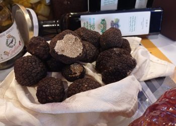 Agrifood sostenibile, il tartufo abruzzese protagonista al Festival del cinema di Roma
