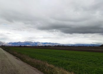 Misure urgenti per l’agricoltura, martedì il Consiglio regionale straordinario