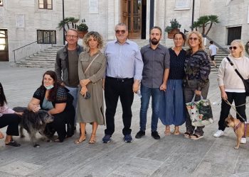 canile comunale, M5s: con 15mila euro la struttura può essere ancora salvata