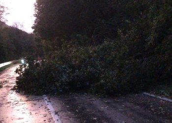 Nubifragio nella Marsica, un albero piomba sulla carreggiata a causa del vento (fotogallery)