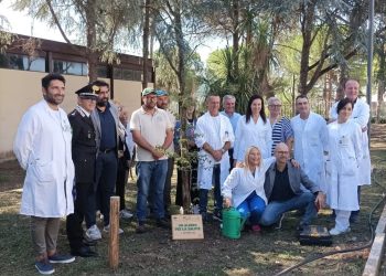 Piantato l’albero della salute all’ospedale di Giulianova