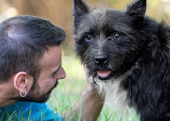 Sgombero del canile, Lndc risponde a Di Nisio: no ai cani portati fuori città