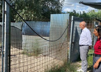 Canile di Pescara, Di Nisio: c’è chi gioca allo sfascio