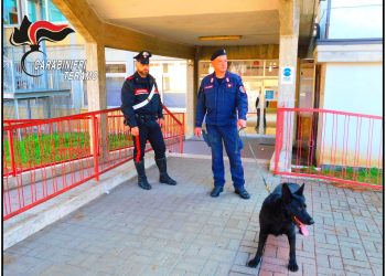 I carabinieri e il cane Bagheera perlustrano le scuole in cerca di droga