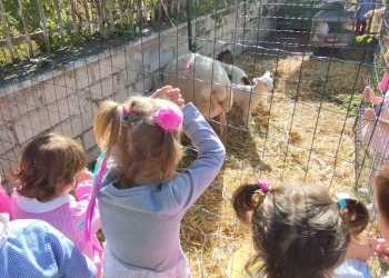 Asbuc Paganica e San Gregorio: fattoria didattica allestita nella scuola primaria