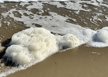 Borsacchio, l’associazione Robin Hood: presenza di schiuma anomala sulla spiaggia