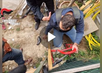 Tentato omicidio presso un night club di Martinsicuro: custodia cautelare a carico dei presunti responsabili (Video)