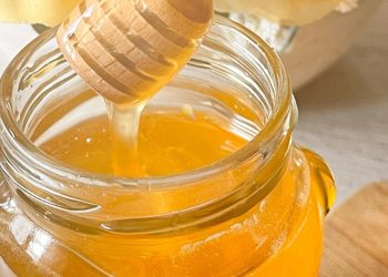 ApeNDday a Tornareccio, una due giorni di porte aperte all’Apicoltura Finocchio: ingresso libero