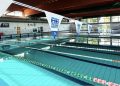 Meeting nazionale di nuoto al centro sportivo Le Gemelle