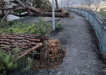 Maltempo, gravi i danni causati dalla bufera di vento e pioggia a Silvi (foto)