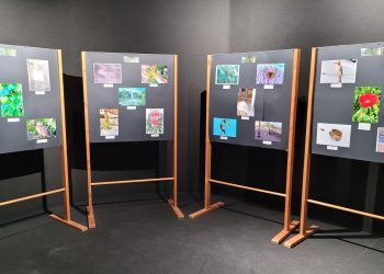 Urban Nature: le foto del concorso in esposizione nel museo universitario 