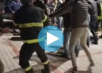 Leone in giro per strada: abruzzese il cecchino che lo ha narcotizzato (Video)