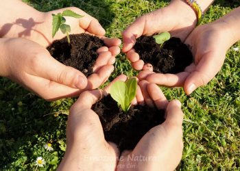 Educazione ambientale, i centri chiedono alla Regione maggiore valorizzazione delle strutture