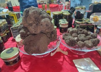 Fiera internazionale tartufi d’Abruzzo, l’Aquila presenterà 60 aziende