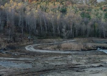 Ruspe nel parco del Gran Sasso, stazione Ornitologica: distrutti ettari di habitat rarissimi (foto)