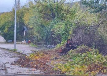 Maltempo, ancora allerta gialla: disagi alla circolazione per la caduta di alberi