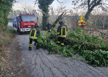 Allerta vento in Abruzzo: nel pescarese diversi interventi di vigili del fuoco e volontari