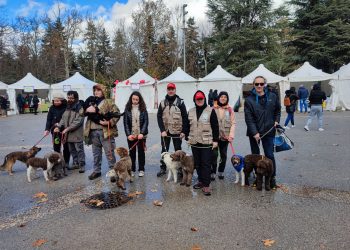 Alla ricerca di tartufi con i ragazzi del “Serpieri”: lezioni per diventare cercatori