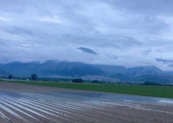 Danni da maltempo all’agricoltura, dalla Regione quasi 13 milioni di euro di risarcimento