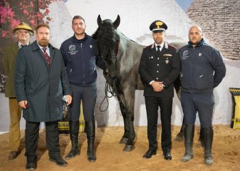 Concorso del Cavallo Murgese: sul podio Netrix, del Dipartimento di medicina veterinaria dell’UniTe