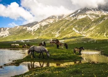 Nasce “Sirente Velino Park” per una coesistenza armoniosa tra le comunità e la natura