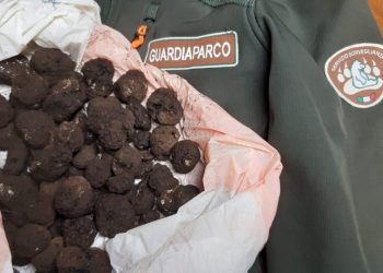 Arta Abruzzo, un microscopio ottico di ultima generazione per tutelare l’identità del tartufo d’Abruzzo