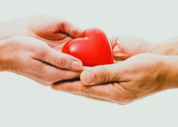 Trapianti, all’Aquila il “Natale insieme” dei pazienti trapiantati: “Occasione per ricordare la generosità dei donatori di organi”