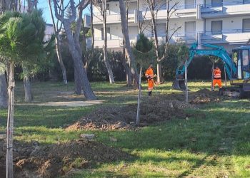 Ripiantumate a Martinsicuro oltre 70 piante nella pineta sul lungomare
