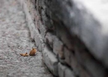 Strade, la mostra fotografica in ricordo di Giulia visitabile fino al 17 dicembre