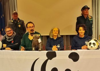 Il Wwf Abruzzo fa il bilancio di fine anno: cosa si è fatto e cosa si può fare per la natura