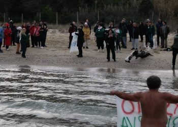 Taglio della Riserva Borsacchio, Borgatti: “Da un post in 4 ore oltre 100 persone in spiaggia”