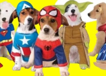 “Carnevale a 4 zampe” a Giulianova, la denuncia di una veterinaria: “Con gli animali non si scherza”