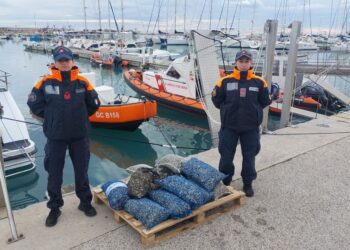 Sequestrati dalla Guardia costiera 150 chili di vongole destinate al mercato nero