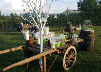 Agriturismo: al via il bando da 6 milioni di euro per trasformare le aziende agricole