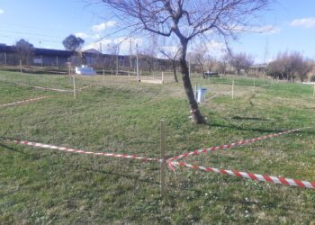 A Casalbordino Lido stagione di ciclocross agli sgoccioli con il Trofeo Vini Alberto Tiberio