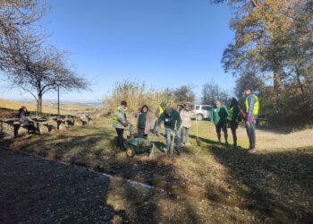 I volontari del Borsacchio proseguono a curare il territorio con il “Progetto alberi”
