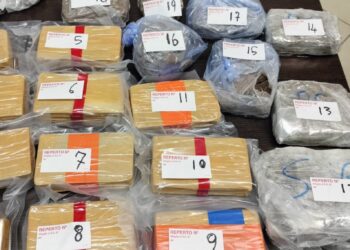 Nasconde in casa dieci chili di eroina in 24 pacchetti di cellofan, arrestato in flagranza