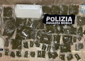 Un bazar della droga nelle scatole per biscotti, arrestato 31enne